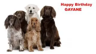 Gayane  Dogs Perros - Happy Birthday