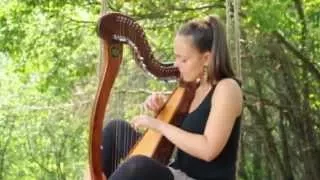 Zeljka Milosevic - celtic harp - Miniature