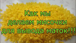 Как мы делаем мисочки для вывода маток!!!