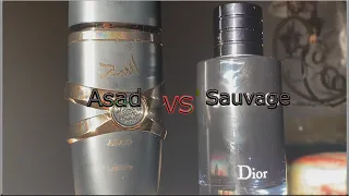 Lattafa Asad (أسد) VS Dior Sauvage Elixir EDT