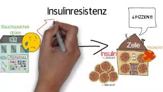 Metabolisches Syndrom - Insulinresistenz - Das tödliche Quartett - Syndrom X