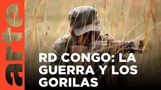 Congo: Salvar a los gorilas (2017) | ARTE.tv Documentales