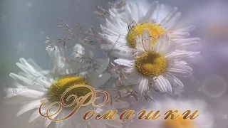 #ГалинаОленева#длядуши#поздравлениедлявсех#Ромашка,ромашка цветок полевой. Хорошее настроение.