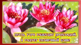 Самое доброе утро! Пусть день принесет радость и счастье!