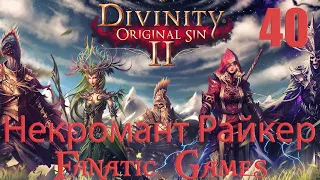 🔥Divinity: Original Sin 2. Прохождение #40. Злостный некромант райкер.🔥