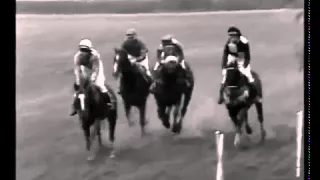 101. Velká pardubická steeplechase - 1991