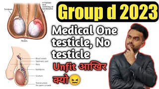 #Group_d medical | Testicle Problem In Hindi | Testicle Pain | Testicle Problems Hindi | अंडकोष दर्द