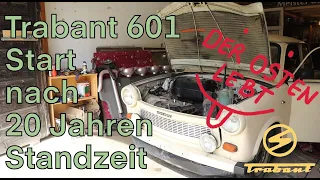 Trabant 601 Erster Start nach 20 Jahren Standzeit "Die Wiederbelebung"  Der Osten Lebt