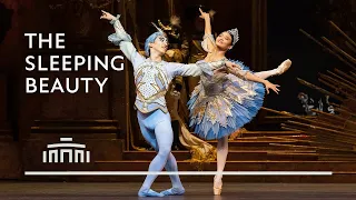 Ballet fragment Princess Florine and Blue Bird [The Sleeping Beauty] | Dutch National Ballet