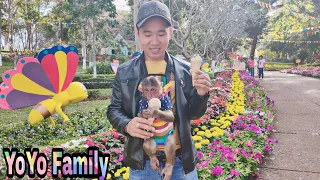 Baby Monkey| YoYo Family hangs out for  New Year |Family YoYo|