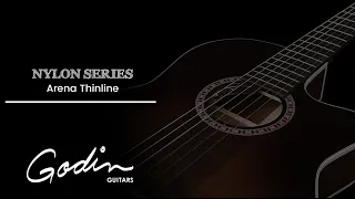 Godin Arena Series