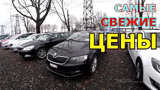 Самые свежие цены на авторынке в Луцке!!!