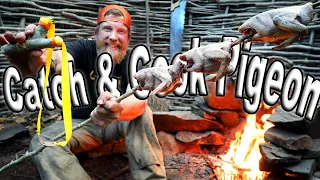 Slingshot Catch and Cook Pigeon AKA SQUAB Day 7 of 8 Maine W.L.C. /Catch And Cook Survival