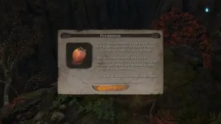 Sekiro™: Shadows Die Twice_loot persimmon in monkey??