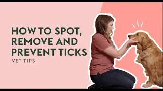 How To Spot, Remove And Prevent Ticks | Vet Tips