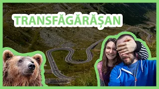 TOP GEAR i-au zis cel mai FRUMOS DRUM din LUME | ne-am intalnit cu URSUL | TRANSFAGARASAN