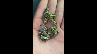The most beautiful Butterfly pupae i ever seen 😍Cute bugs| Incredible insects #Shorts