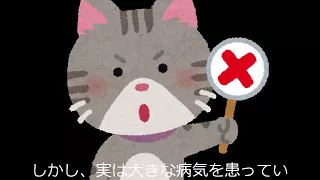 猫の便秘の原因と、簡単にできる解消方法