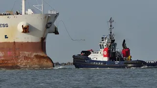 Shipspotting Rotterdam    20  02  2021