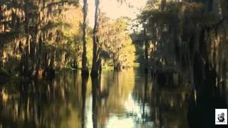 Boggy Creek - Das Bigfoot Massaker - (engl.)