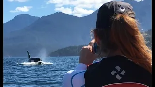 Sea kayaking with Orca, Humpbacks and Grizzly bear Vancouver Island, Canada