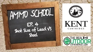 Ammo School EP4 - Shot Size of Lead VS Steel