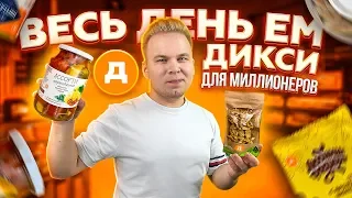 Весь день ем продукты из Дикси для МИЛЛИОНЕРОВ / Это вам не продукты Первым Делом