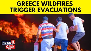Greece Wildfires 2023: Largest-Ever Evacuation Triggered, Tourists Flee Rhodes Wildfires | News18