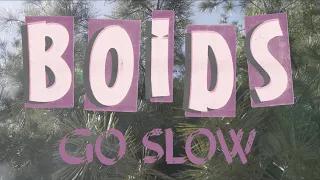 BOIDS - Go Slow (Official Video)