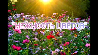 Потрясающая музыка "Нежность цветов" Красивое видео цветов!