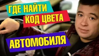 ❓☝️ Как узнать код краски автомобиля 🚗