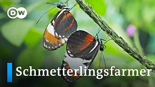 Costa Rica: Schmetterlinge für die ganze Welt | Global Ideas