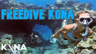 Best Freediving in Hawai'i - Sea Turtles, Dolphins, & Manta Rays | Kona Freedivers