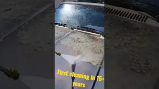 Powerwashing Abandoned Farm Truck. 1986 Chevy C10