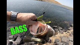 Texas Rig Fishing for Largemouth Bass in Heavy Grass and Clear Water at Contra Loma Reservoir