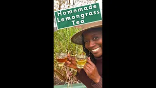 Lemongrass Tea #garden #lemongrass #harvest #health #healthyfood #herbaltea #herbal #fyp #tea