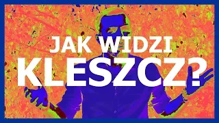 Jak uniknąć kleszczy? - Nauka. To lubię.