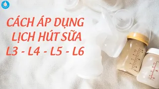 Áp Dụng Lich Hút Sữa L3 L4 L5 L6 Như Thế Nào