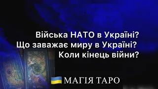 Війська НАТО в Україні? Що заважає миру в Україні? Коли кінець війни?