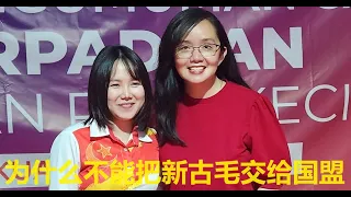 (新古毛补选）Michelle Ng 黄美诗: 为什么我们不可以把新古毛议席交给国盟？