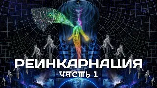 Реинкарнация: правда или вымысел? Истоки учения. Разбор идей. Контраргументы. Альтернативы.