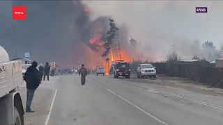 Поджигателя травы поймали в Минусинске