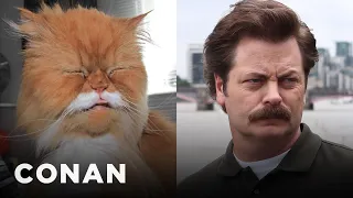Cats Who Look Like Ron Swanson | CONAN on TBS