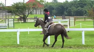 Little girl shows pony that shes in control