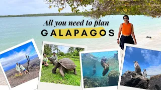 Galapagos Travel Guide from India | Everything you need to know