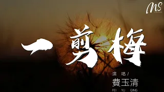 費玉清 - 一剪梅『雪花飄飄北風蕭蕭』【動態歌詞Lyrics】