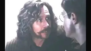 A Triste Morte De Sirius Black