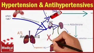 Pharmacology - Hypertension and Antihypertensive Drugs FROM A TO Z