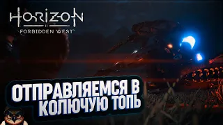 ПУТЬ В КОЛЮЧУЮ ТОПЬ 🦉 #HORIZON FORBIDDEN WEST  46