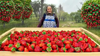 Harvested Organic Strawberries! Making Jam, Cake and Drink in a Faraway Village!